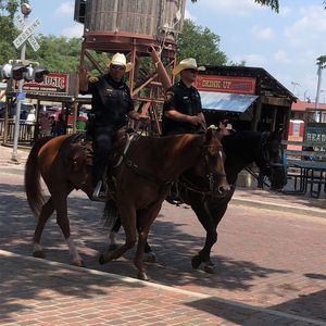 Meet your Posher, Larry